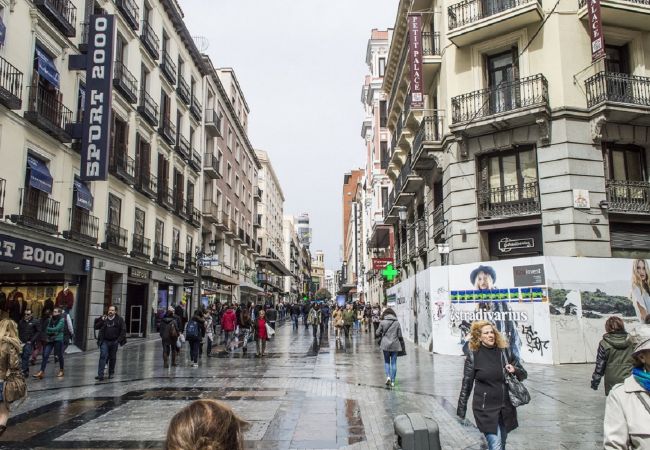 Apartamento en Madrid - ATICO Apartment Madrid Downtown Puerta Sol M (PRE Apartamento en Madrid - ATICO Apartment Madrid Downtown Puerta Sol M (PRE