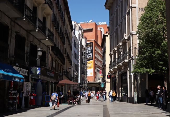 Apartamento en Madrid - ATICO Apartment Madrid Downtown Puerta Sol M (PRE Apartamento en Madrid - ATICO Apartment Madrid Downtown Puerta Sol M (PRE