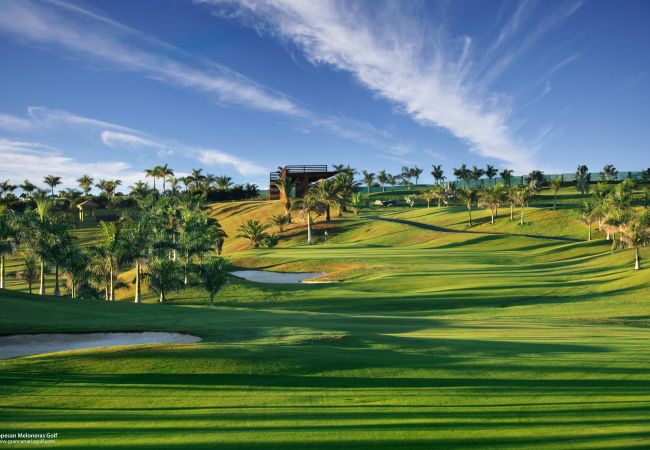 Apartamento en Las Palmas de Gran Canaria - Blue Horizon Las Canteras Apartamento en Las Palmas de Gran Canaria - Blue Horizon Las Canteras