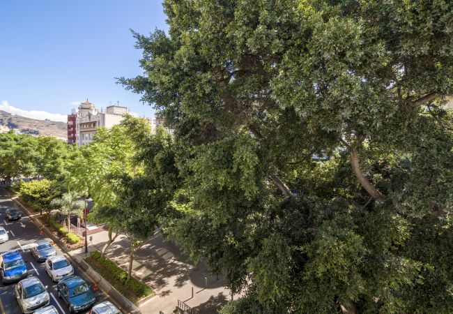 Apartamento en Santa Cruz de Tenerife - HomeForGuest Design Attic Apartment, FREE parking Apartamento en Santa Cruz de Tenerife - HomeForGuest Design Attic Apartment, FREE parking