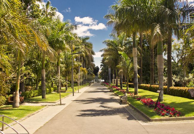 Apartamento en Santa Cruz de Tenerife - HomeForGuest Design Attic Apartment, FREE parking Apartamento en Santa Cruz de Tenerife - HomeForGuest Design Attic Apartment, FREE parking