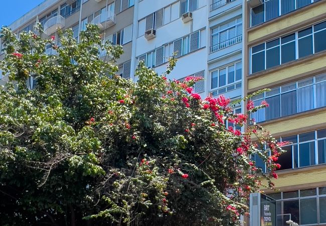Apartamento en Rio de Janeiro - Ipanema perfecto para parejas | VP802  Apartamento en Rio de Janeiro - Ipanema perfecto para parejas | VP802