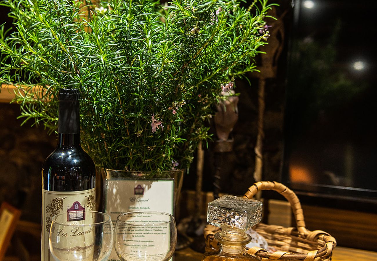 Apartamento en Tacoronte - HomeForGuest Acogedor apartamento rural El Romero con amplios jardines Apartamento en Tacoronte - HomeForGuest Acogedor apartamento rural El Romero con amplios jardines