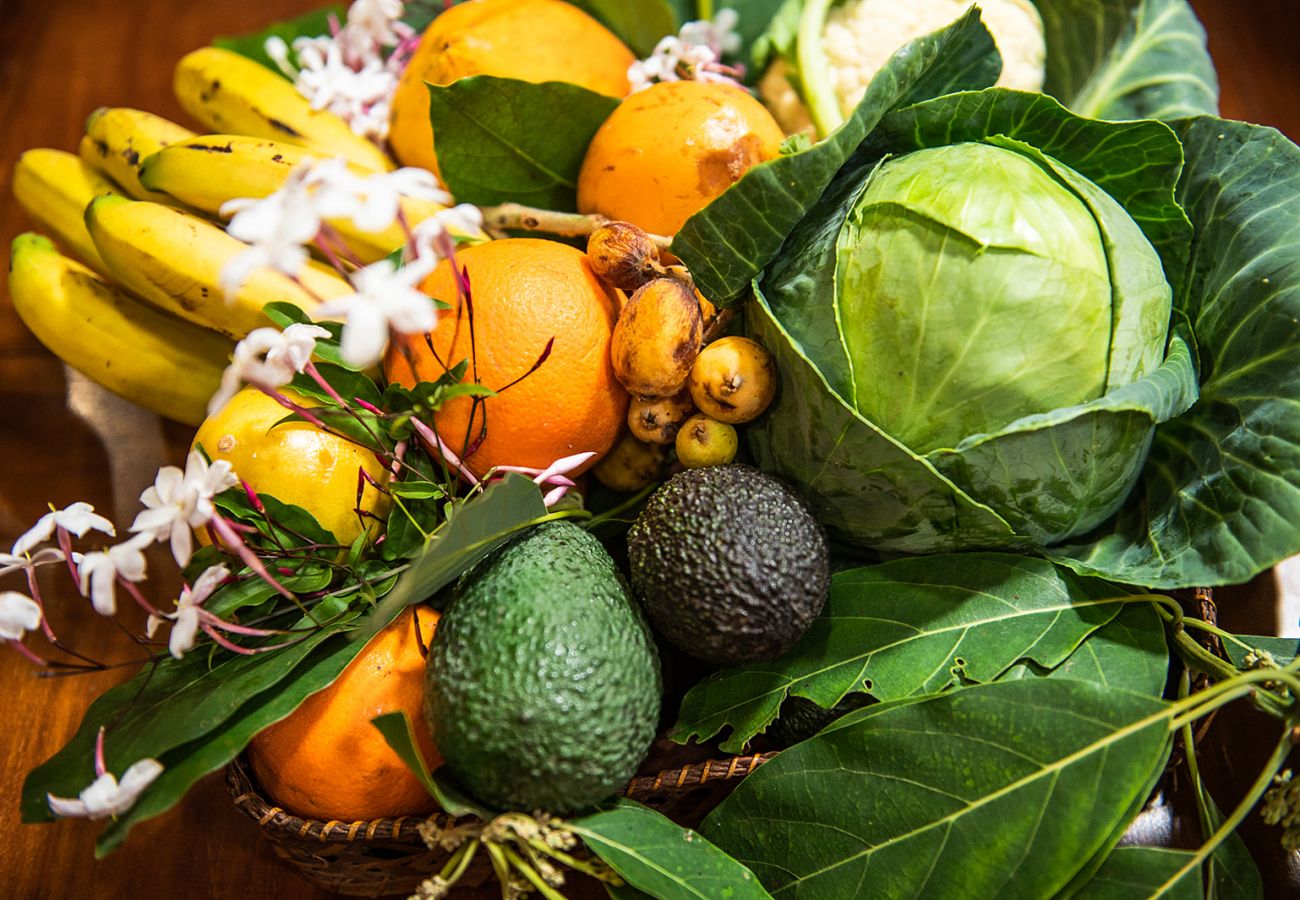 Apartamento en Tacoronte - HomeForGuest Acogedor apartamento rural El Romero con amplios jardines Apartamento en Tacoronte - HomeForGuest Acogedor apartamento rural El Romero con amplios jardines