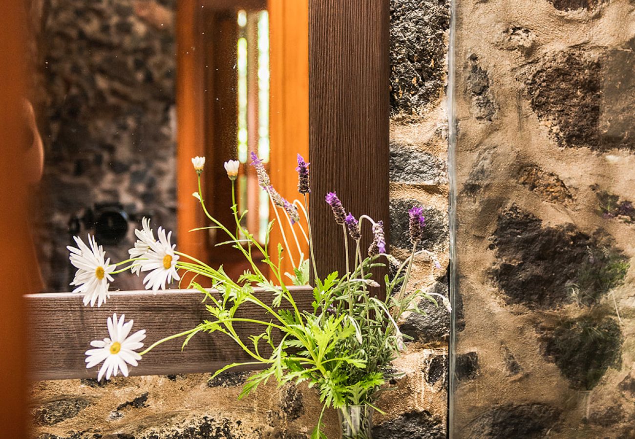 Apartamento en Tacoronte - HomeForGuest Acogedor apartamento rural El Romero con amplios jardines Apartamento en Tacoronte - HomeForGuest Acogedor apartamento rural El Romero con amplios jardines