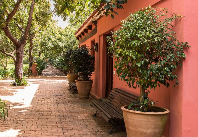 Apartamento en Tacoronte - HomeForGuest Acogedor apartamento rural La Lavanda rodeado de naturaleza Apartamento en Tacoronte - HomeForGuest Acogedor apartamento rural La Lavanda rodeado de naturaleza