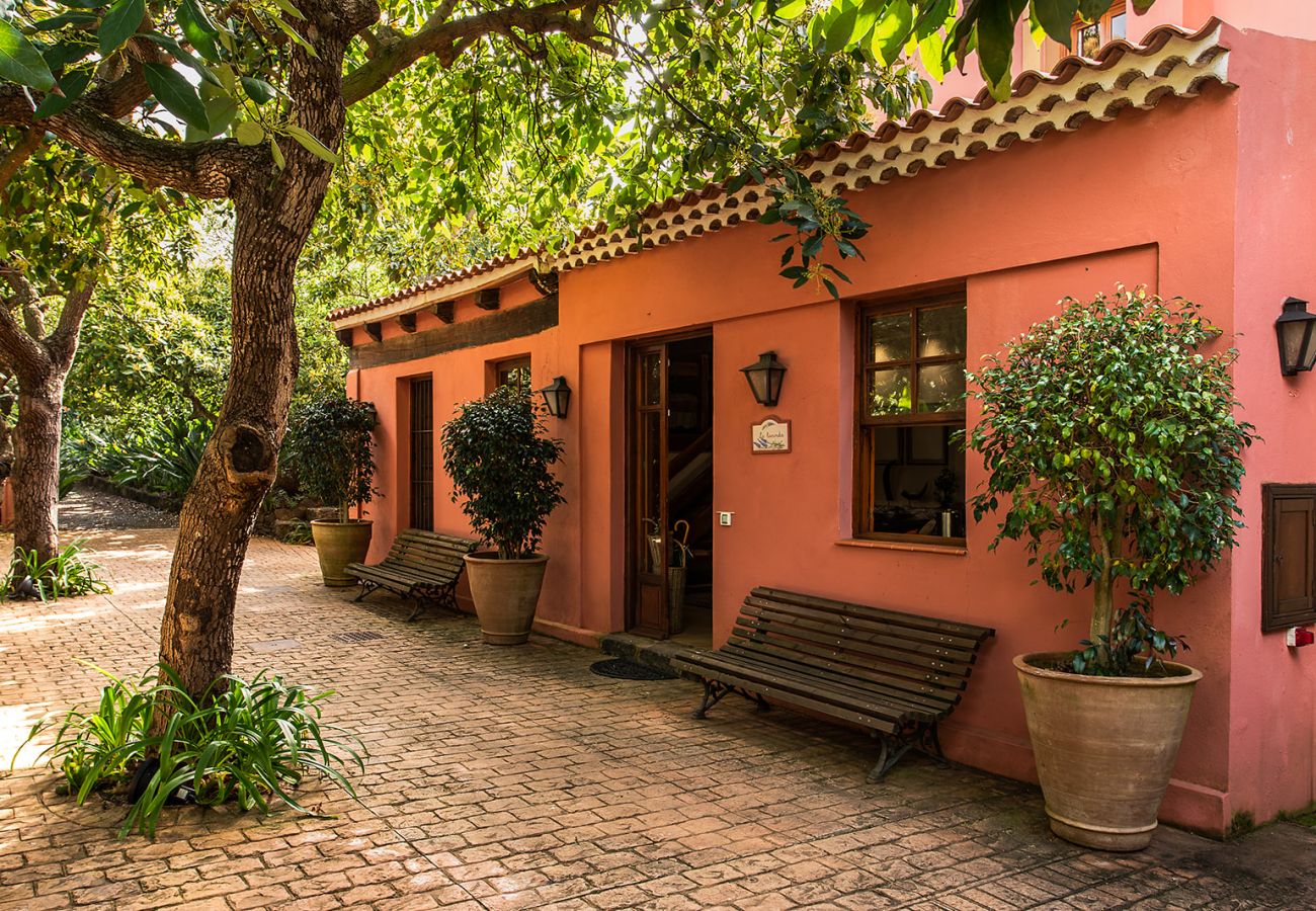 Apartamento en Tacoronte - HomeForGuest Acogedor apartamento rural La Lavanda rodeado de naturaleza Apartamento en Tacoronte - HomeForGuest Acogedor apartamento rural La Lavanda rodeado de naturaleza