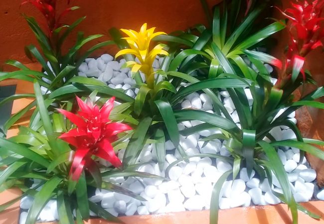 Casa en Maresias - Casa com churrasq a 850m da Praia de Maresias/SP Casa en Maresias - Casa com churrasq a 850m da Praia de Maresias/SP