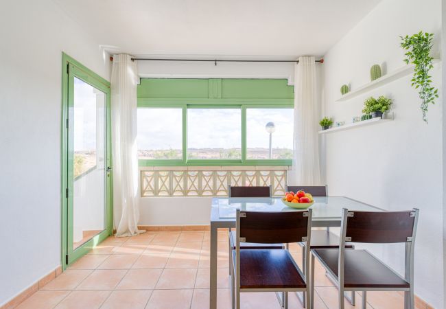 Apartamento en Antigua - Fuerteventura - HomeForGuest Amplio apartamento con terraza y piscina Apartamento en Antigua - Fuerteventura - HomeForGuest Amplio apartamento con terraza y piscina