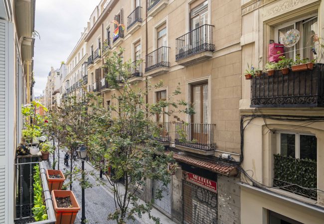 Apartamento en Madrid - Hermoso apartamento  Plaza Zerolo INF1D Apartamento en Madrid - Hermoso apartamento  Plaza Zerolo INF1D