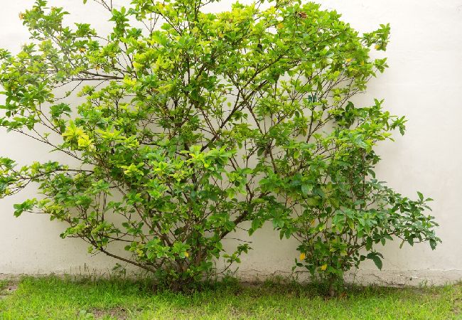 Casa en Mendoza -  Espaciosa Casa a pocos metros del Parque Casa en Mendoza -  Espaciosa Casa a pocos metros del Parque