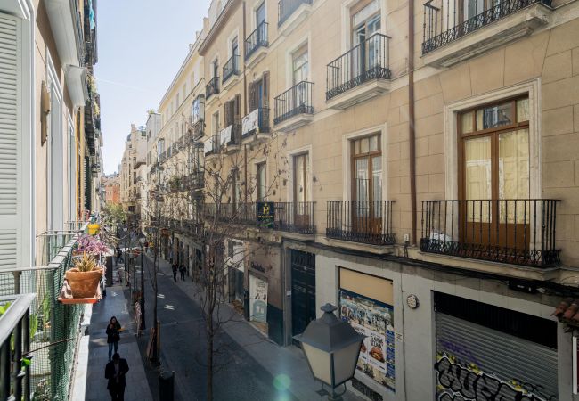 Apartamento en Madrid - Hermoso apartamento Plaza Zerolo INF1C Apartamento en Madrid - Hermoso apartamento Plaza Zerolo INF1C