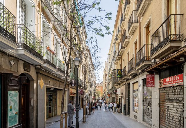 Apartamento en Madrid - Hermoso apartamento Plaza Zerolo INF1C Apartamento en Madrid - Hermoso apartamento Plaza Zerolo INF1C