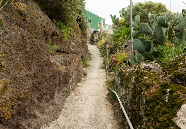 Casa rural en Gáldar -  Cave house in Gáldar Casa rural en Gáldar -  Cave house in Gáldar