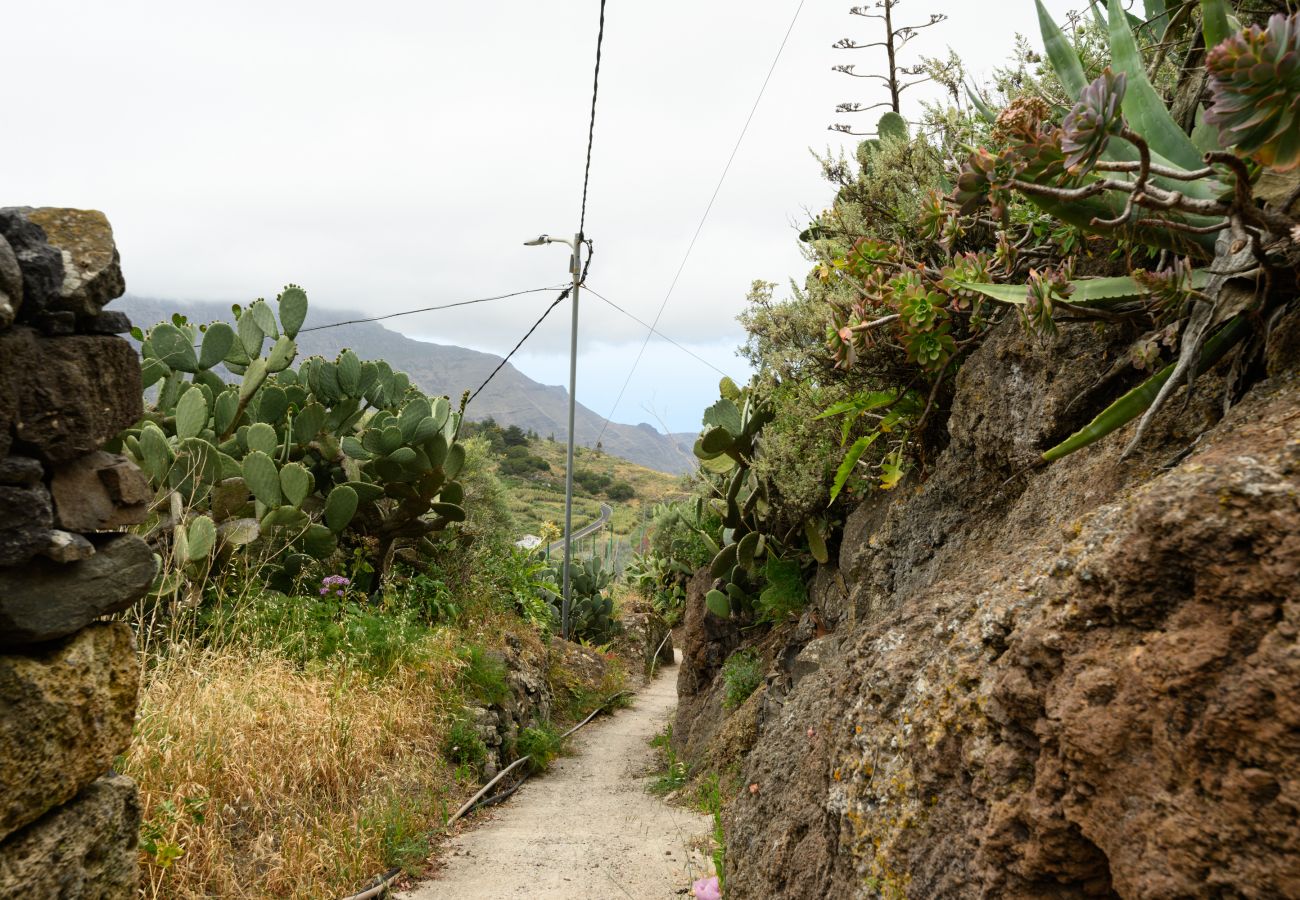 Casa rural en Gáldar -  Cave house in Gáldar Casa rural en Gáldar -  Cave house in Gáldar