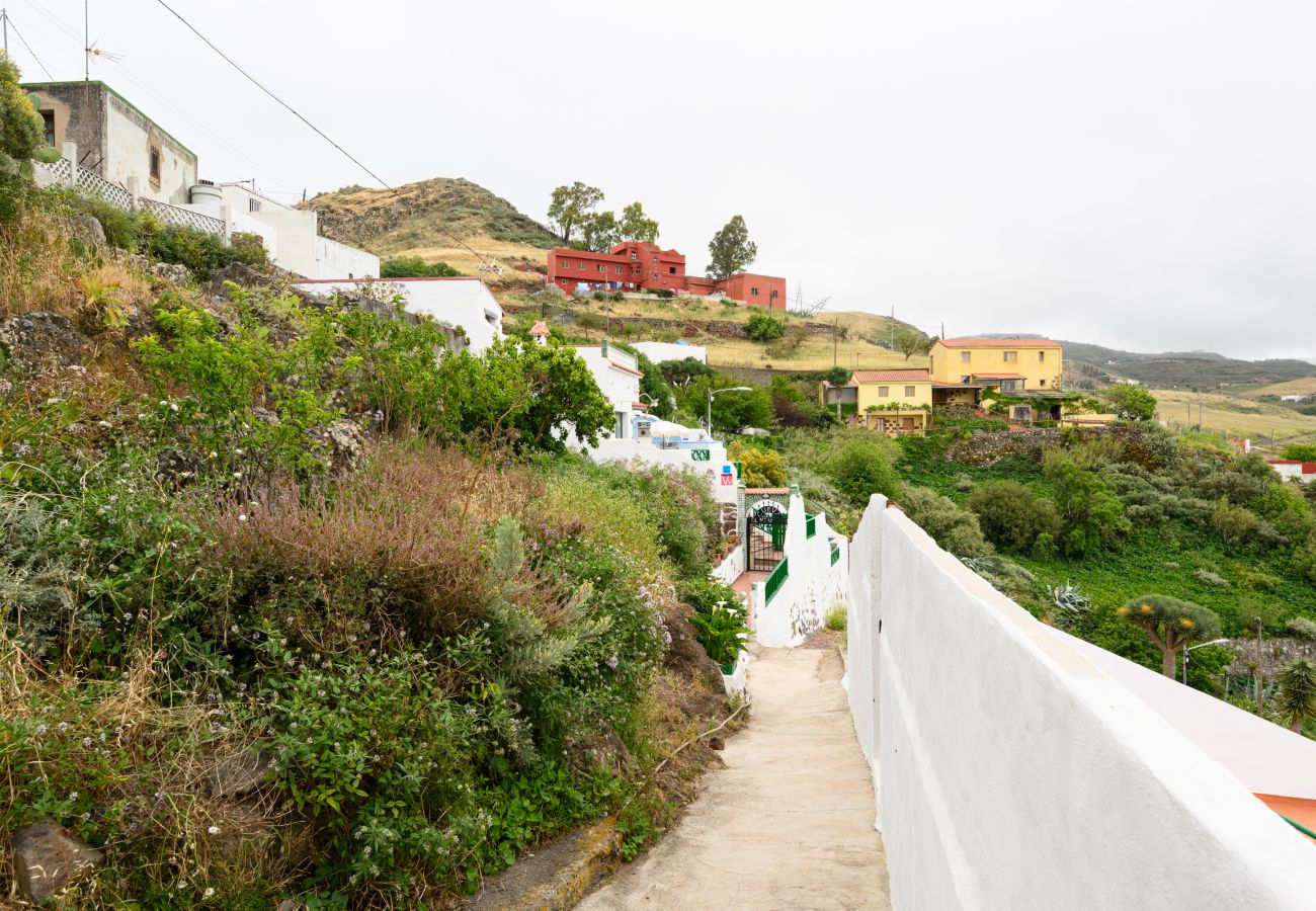 Casa rural en Gáldar -  Cave house in Gáldar Casa rural en Gáldar -  Cave house in Gáldar