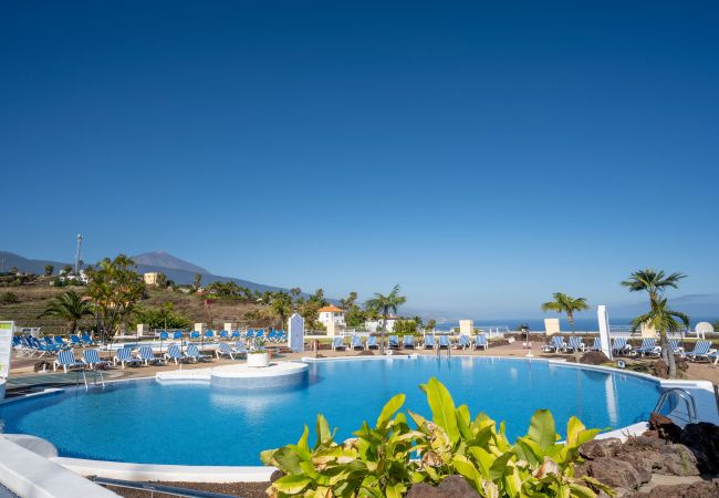 Apartamento en Santa Ursula - Cosy flat with sea views in Santa Ursula Apartamento en Santa Ursula - Cosy flat with sea views in Santa Ursula