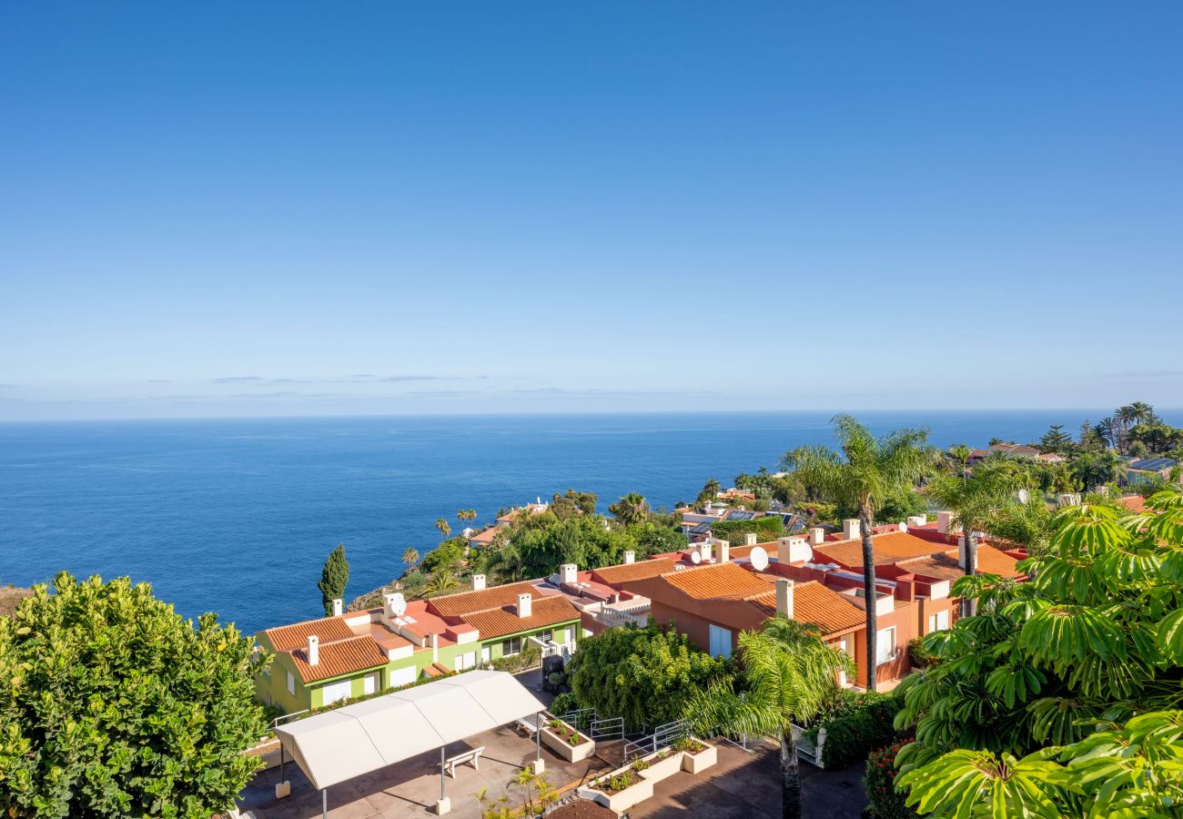 Apartamento en Santa Ursula - Cosy flat with sea views in Santa Ursula Apartamento en Santa Ursula - Cosy flat with sea views in Santa Ursula