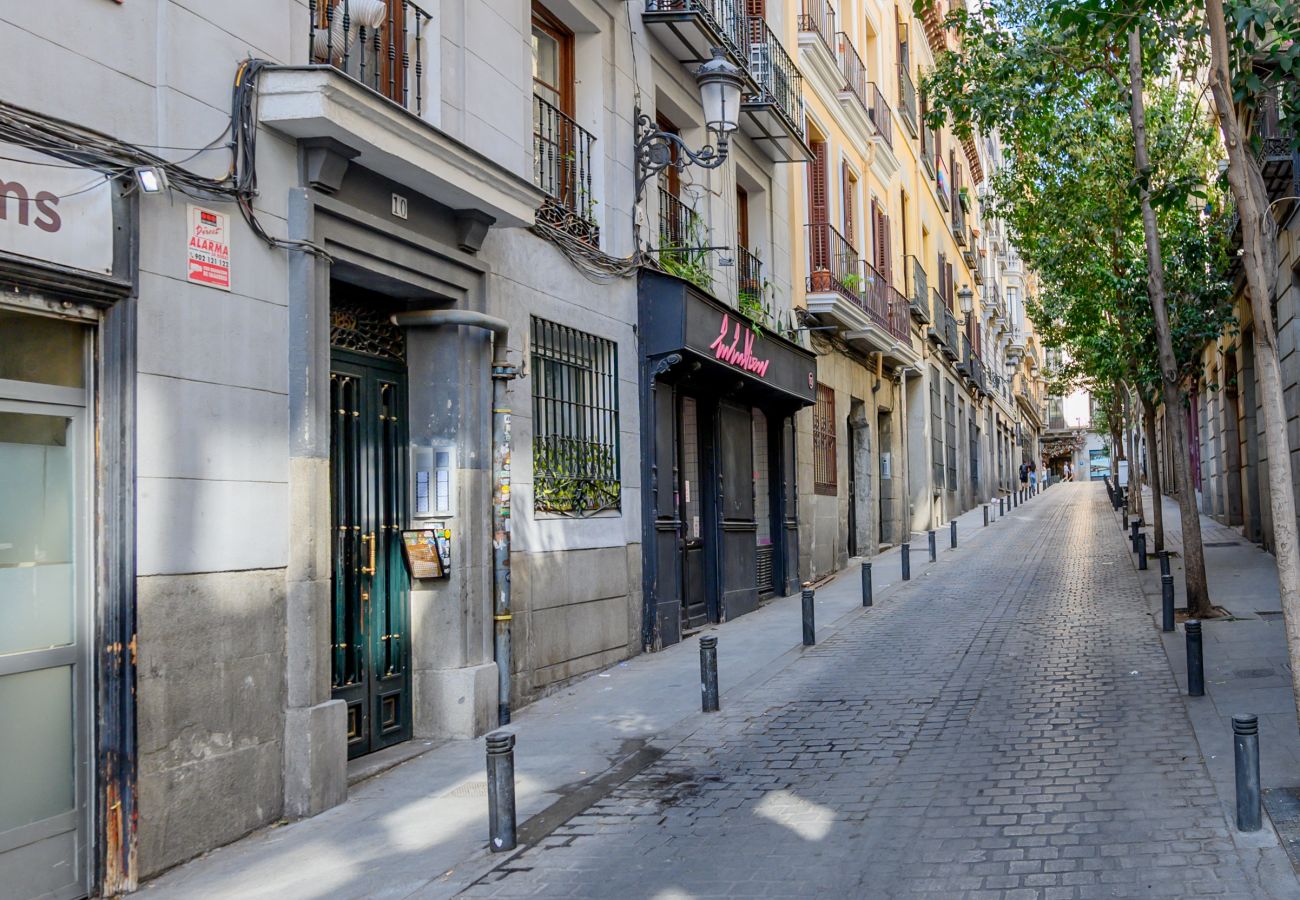Apartamento en Madrid - Encantadora vivienda de dos dormitorios en el Centro de Madrid Apartamento en Madrid - Encantadora vivienda de dos dormitorios en el Centro de Madrid