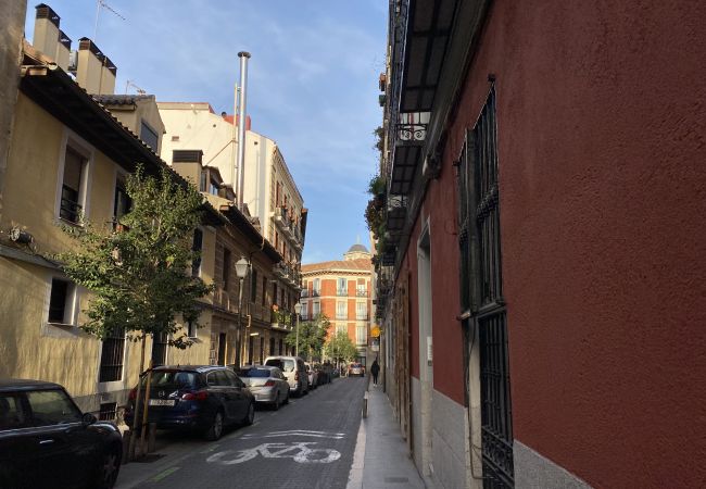 Apartamento en Madrid - Céntrica y amplia vivienda de 4 dormitorios en La Latina Apartamento en Madrid - Céntrica y amplia vivienda de 4 dormitorios en La Latina