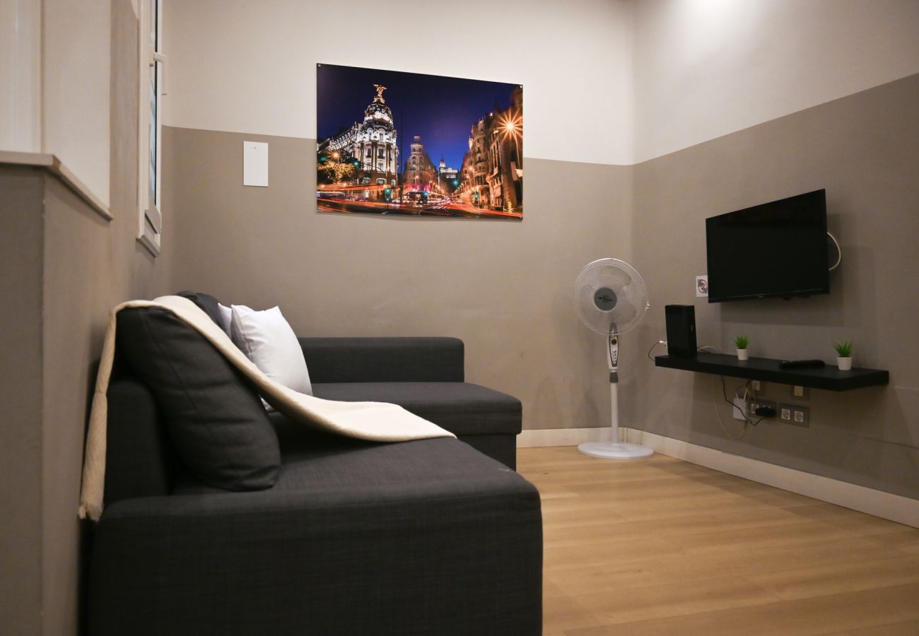 Apartamento en Madrid -  Amplia vivienda de tres dormitorios en La Latina Apartamento en Madrid -  Amplia vivienda de tres dormitorios en La Latina