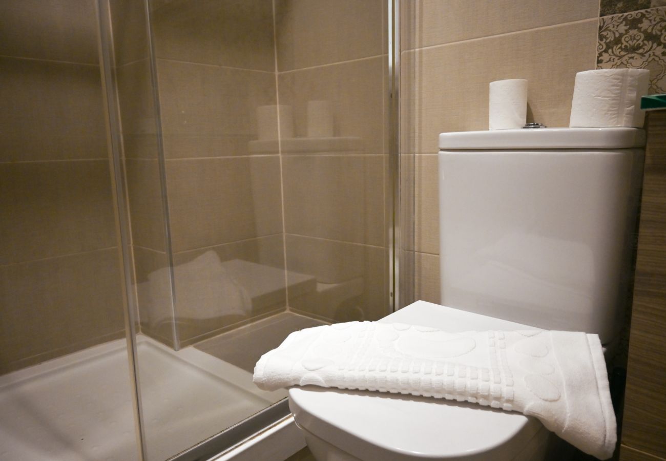 Apartamento en Madrid -  Amplia vivienda de tres dormitorios en La Latina Apartamento en Madrid -  Amplia vivienda de tres dormitorios en La Latina