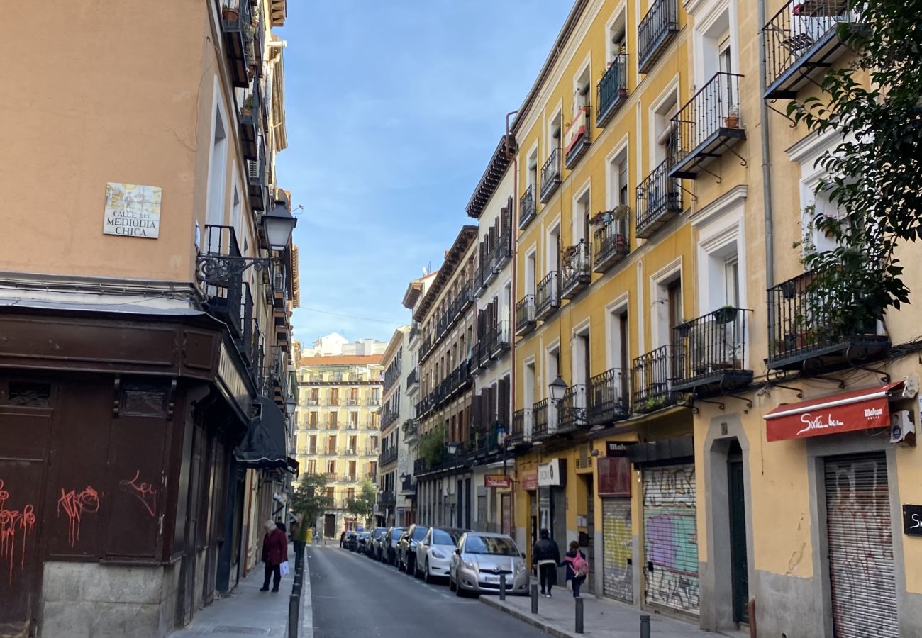 Apartamento en Madrid -  Amplia vivienda de tres dormitorios en La Latina Apartamento en Madrid -  Amplia vivienda de tres dormitorios en La Latina