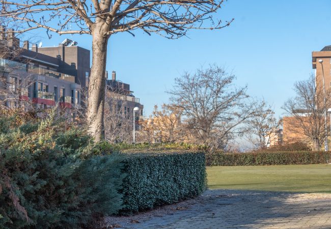 Apartamento en Madrid - Aria: Donde la Tranquilidad y el Diseño se Encuentran. Temporal Apartamento en Madrid - Aria: Donde la Tranquilidad y el Diseño se Encuentran. Temporal