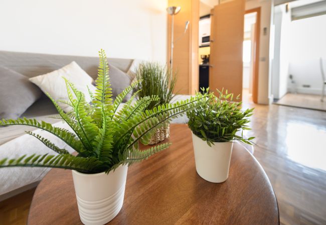 Apartamento en Madrid - Piso de 2 Dormitorios con Vistas a la Ciudad – Confort y Estilo en Madrid.Temporal Apartamento en Madrid - Piso de 2 Dormitorios con Vistas a la Ciudad – Confort y Estilo en Madrid.Temporal