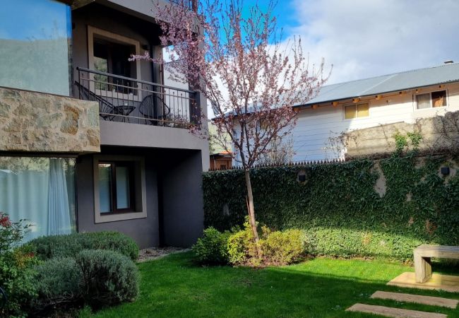 Estudio en San Martin de los Andes - Merlot - Andarlibre Estudio en San Martin de los Andes - Merlot - Andarlibre