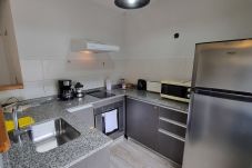 Estudio en San Martin de los Andes - Merlot - Andarlibre Estudio en San Martin de los Andes - Merlot - Andarlibre